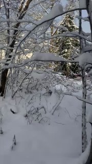 Фотография поста